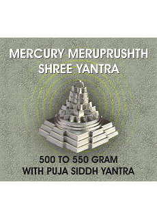 Parad Shree Yantra With Pooja